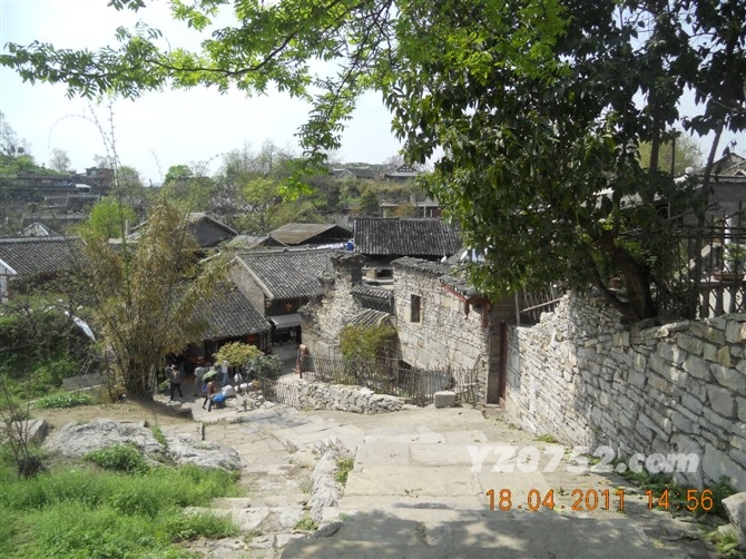 77.jpg