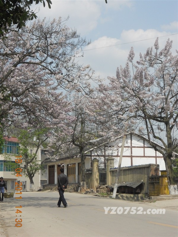 56.jpg