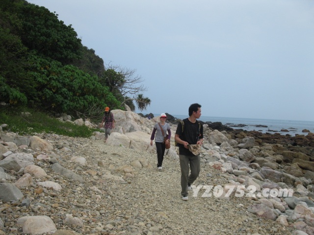 IMG_3520.jpg