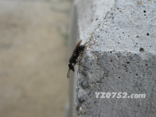 IMG_3310.jpg