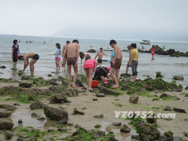 IMG_3538.jpg