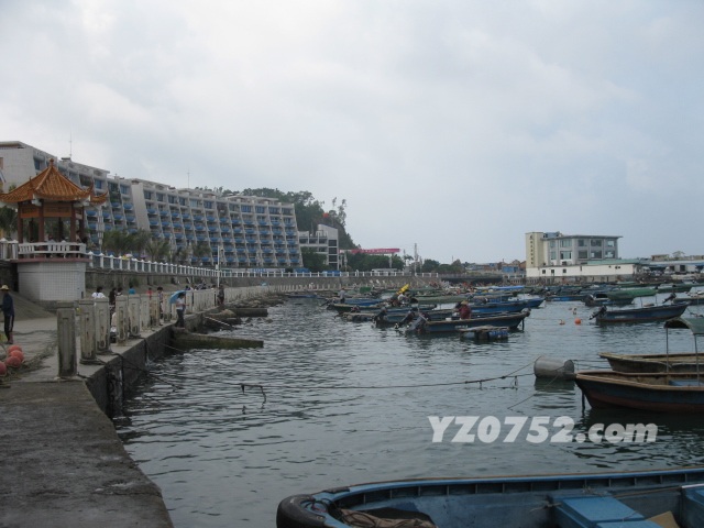 IMG_3332.jpg