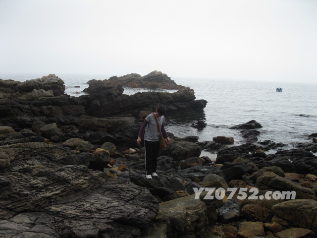 IMG_3443.jpg