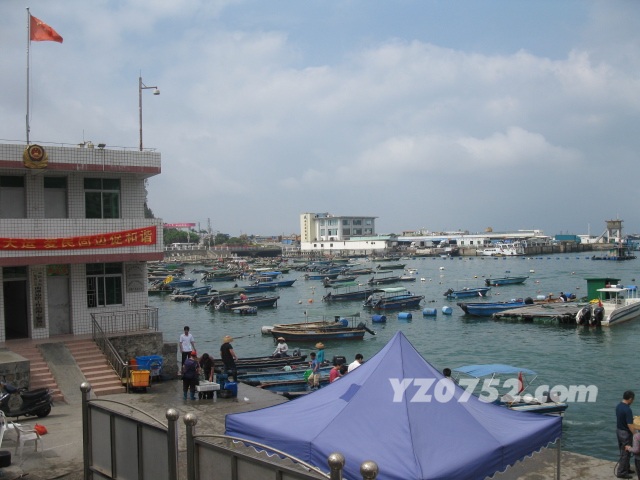 IMG_3325.jpg
