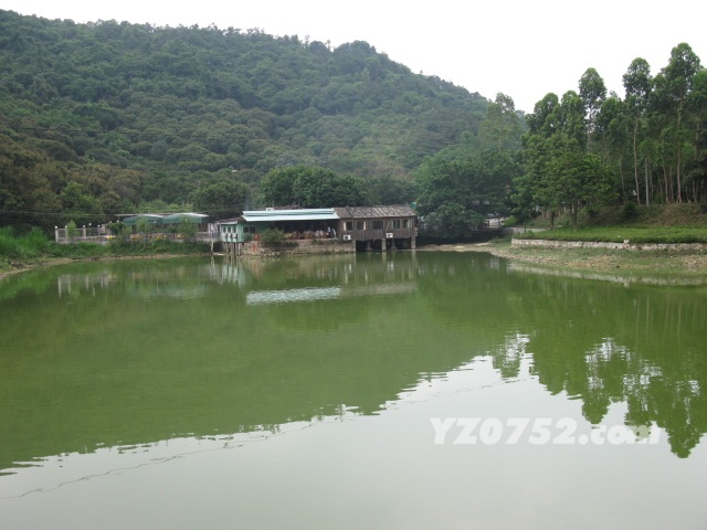 IMG_3632.jpg