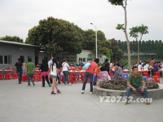 IMG_3206.jpg