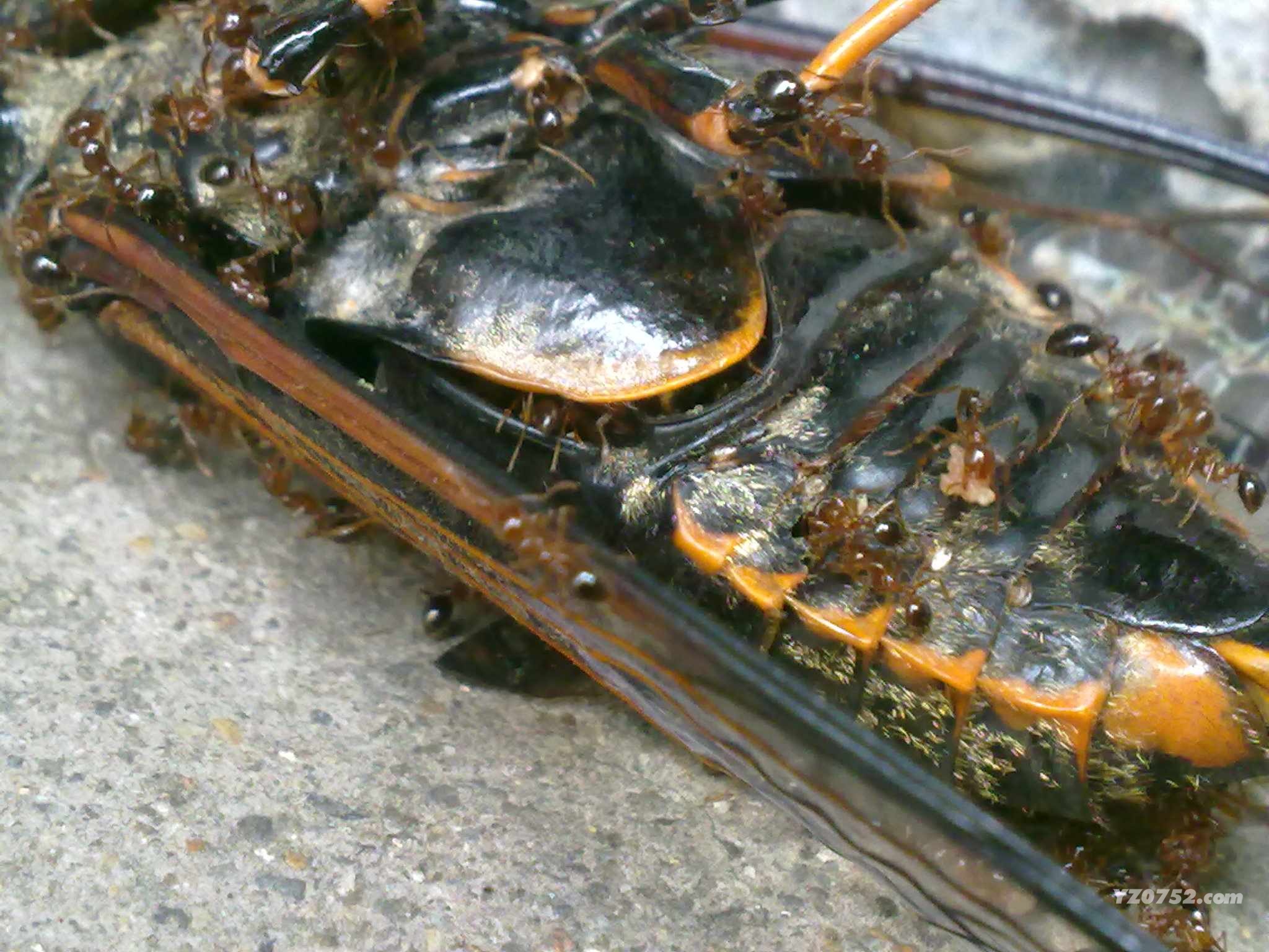 20110625380.jpg