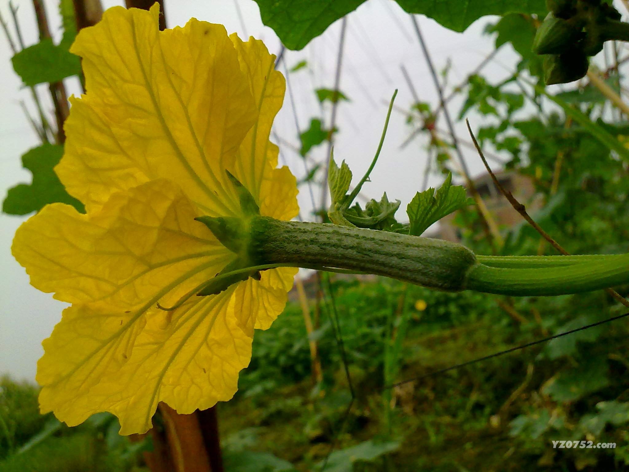 201105151121.jpg