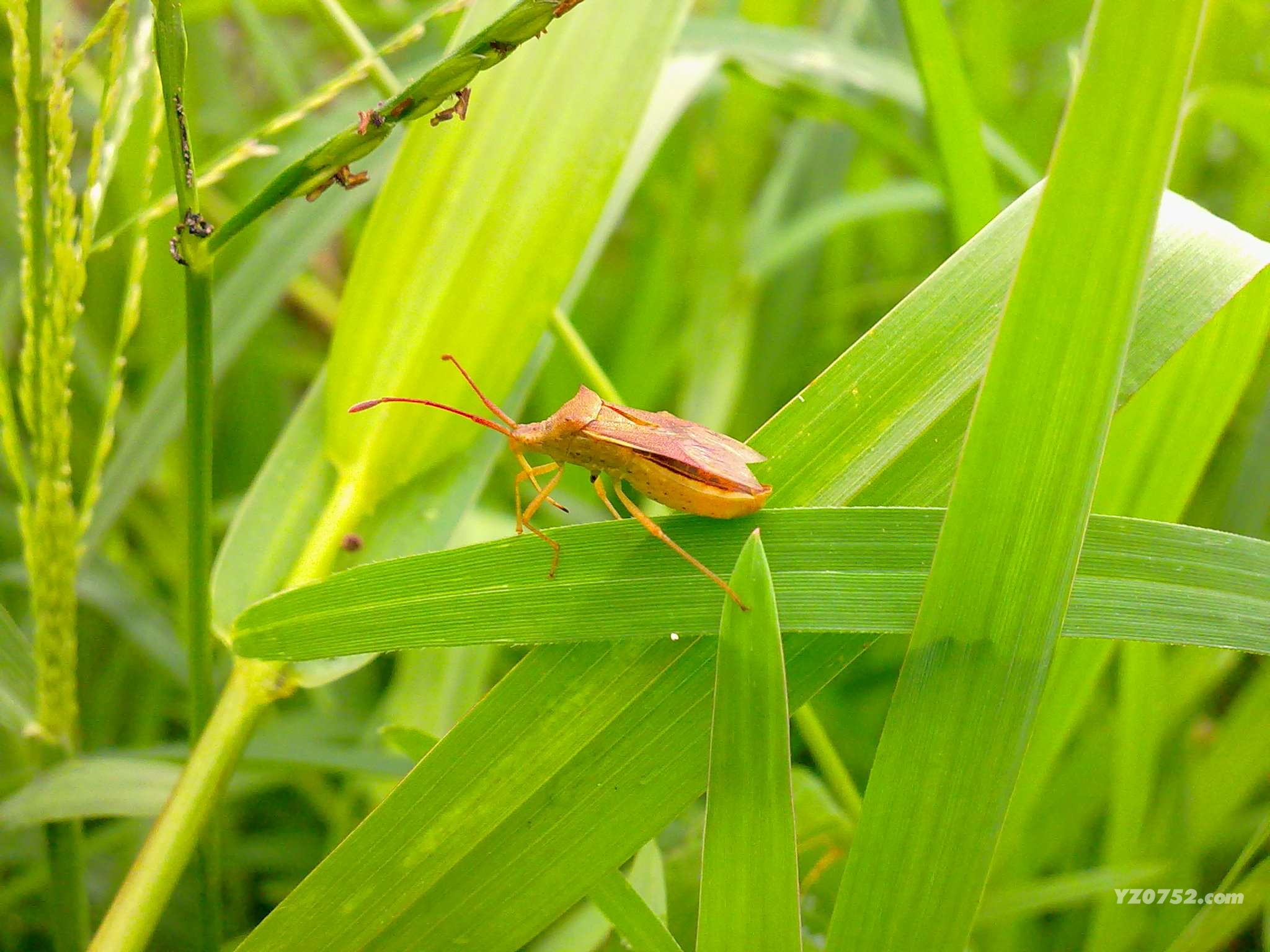 201105151126.jpg