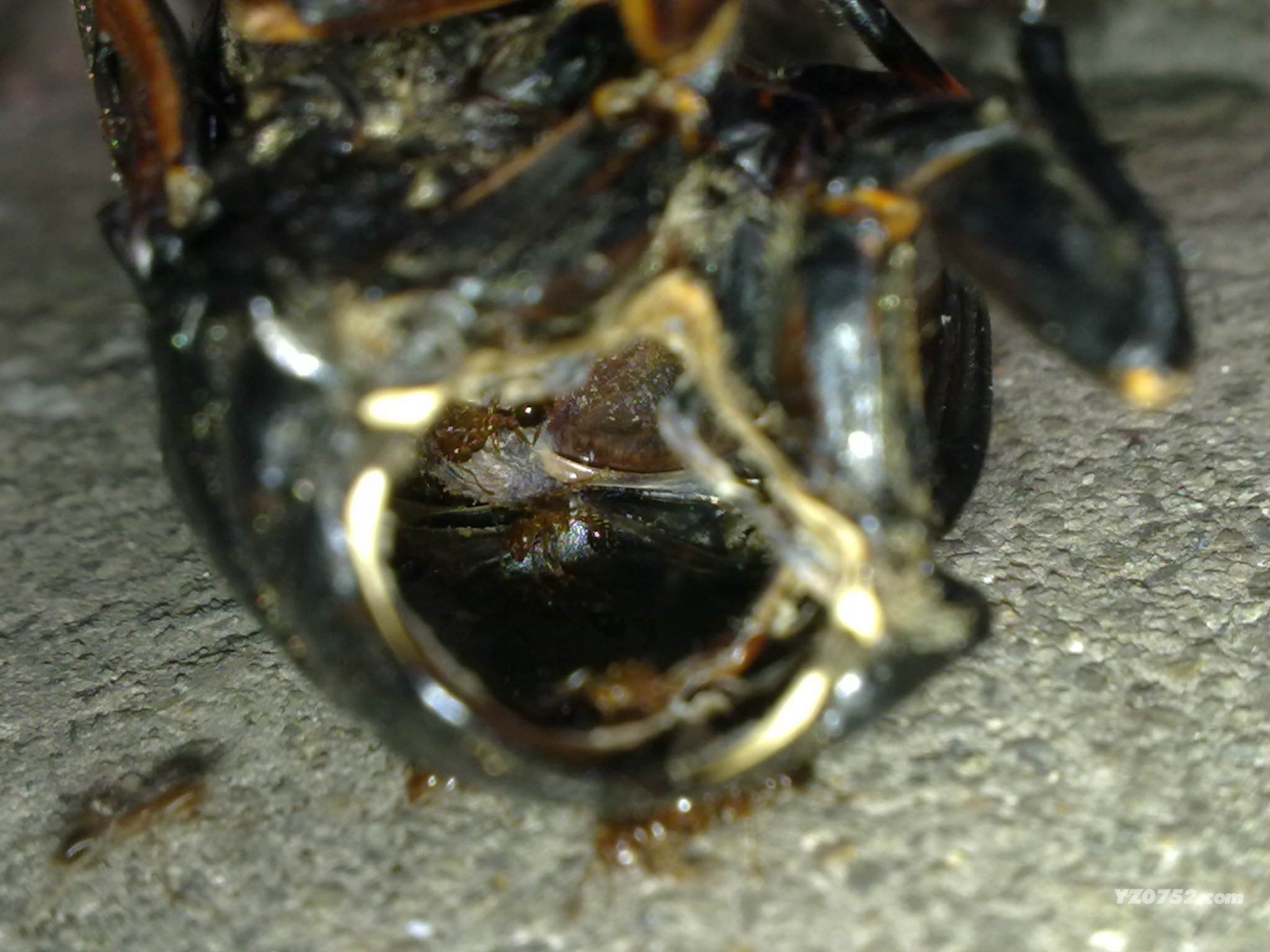 20110625429.jpg
