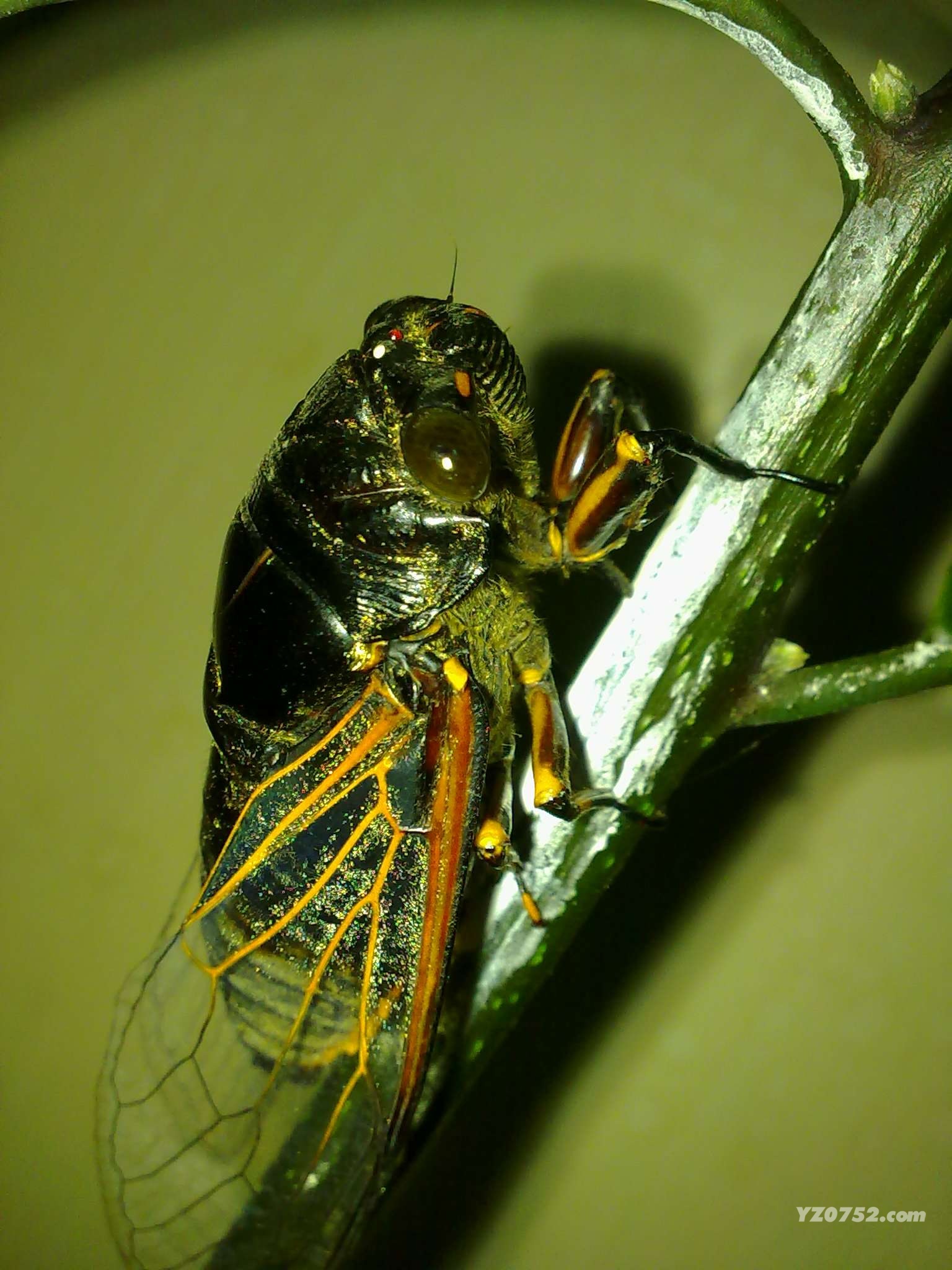 20110624340.jpg
