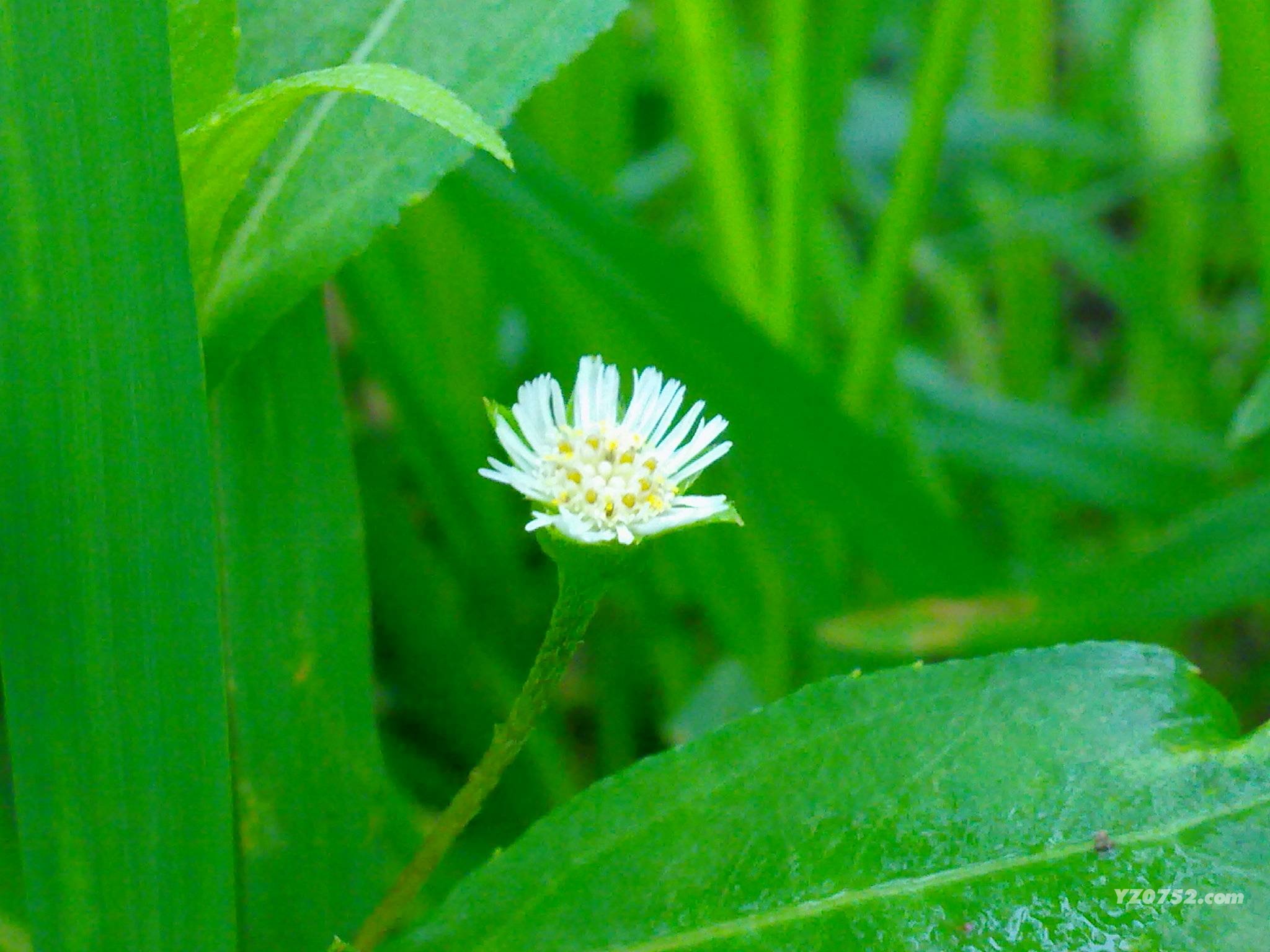 201105151113.jpg