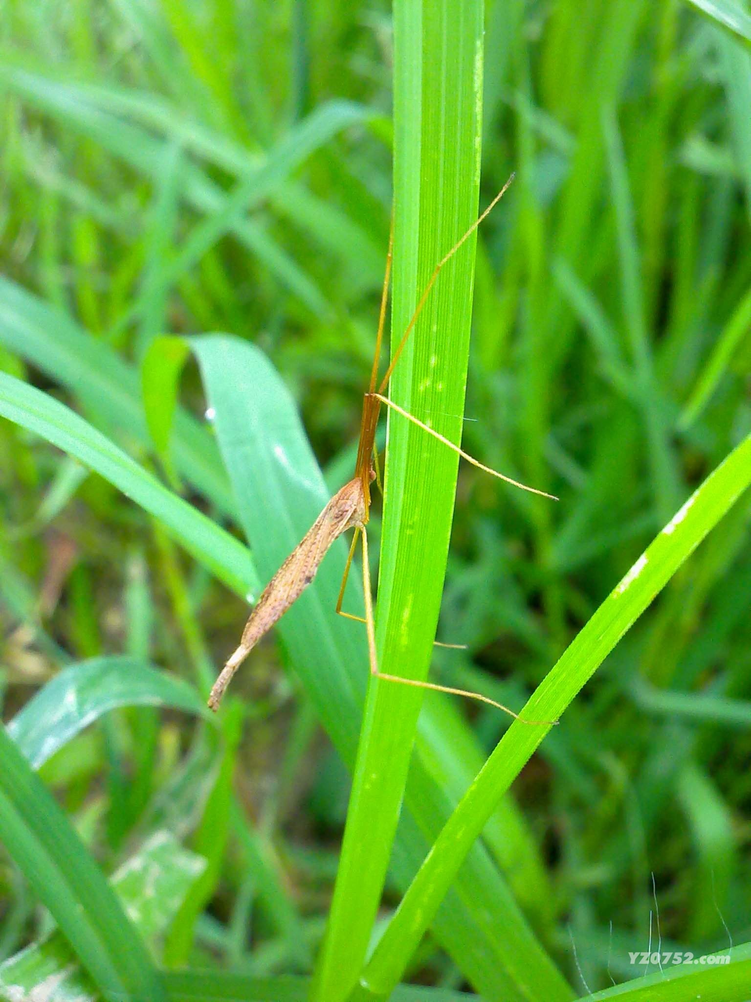 201105151107.jpg