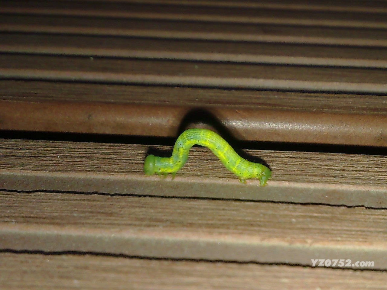 20110616223.jpg