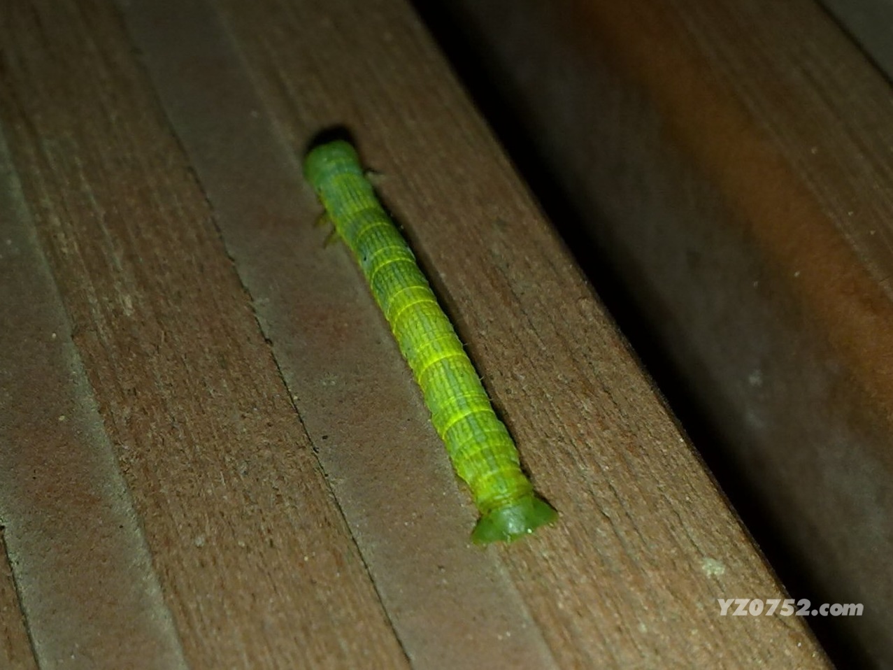 20110616215.jpg