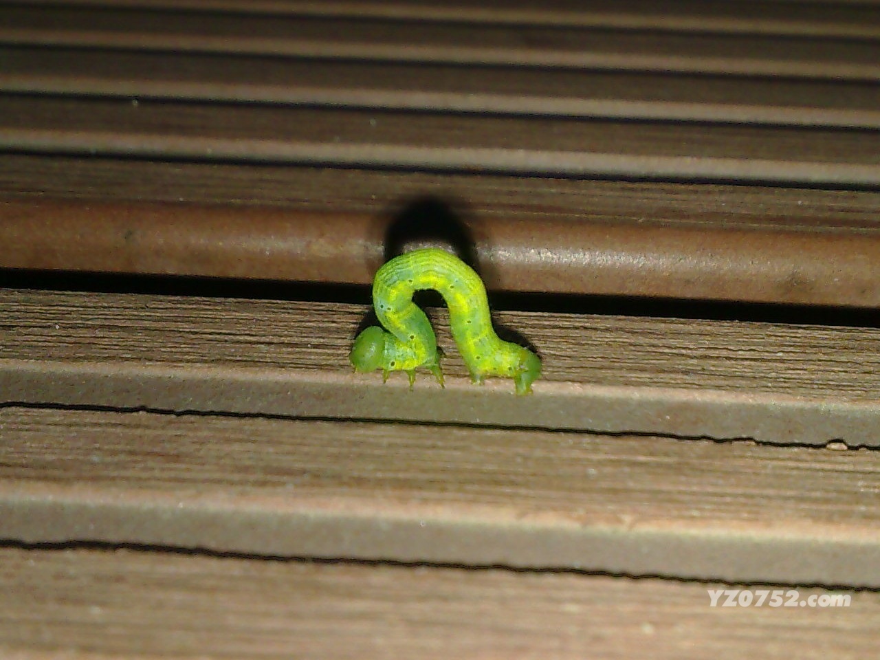 20110616222.jpg