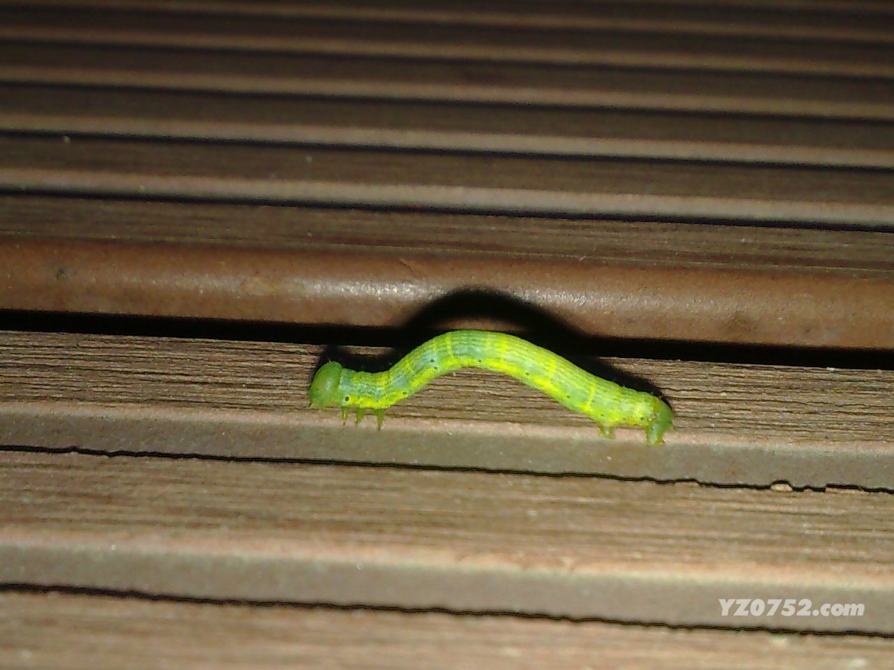 20110616220.jpg