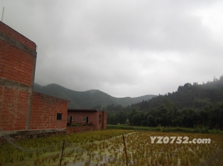 Ƭ 097.jpg