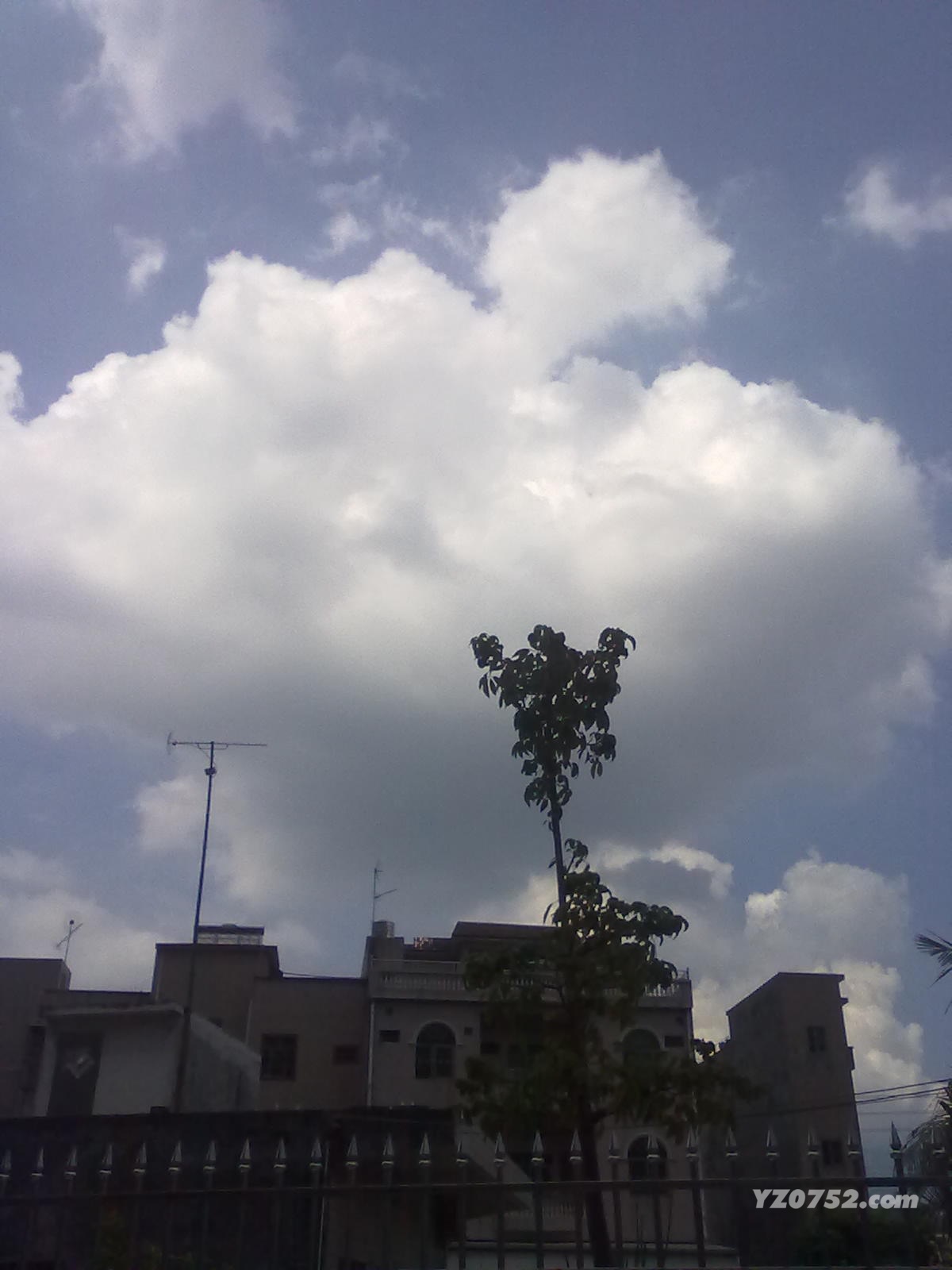 201108179128.jpg