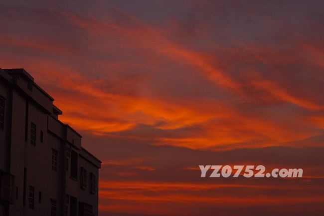 IMG_3895.jpg