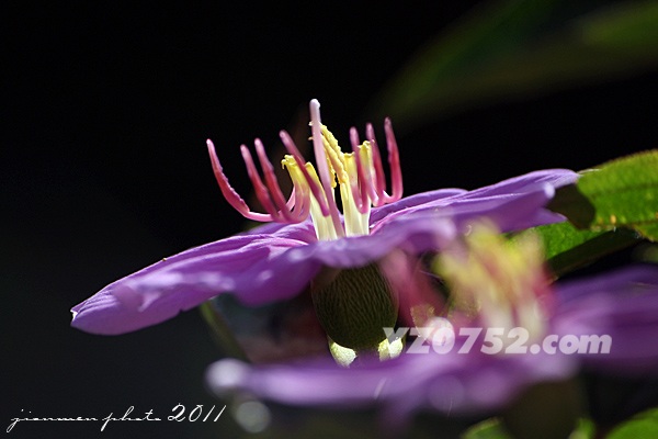 IMG_4150.jpg