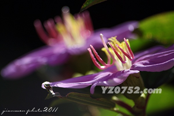 IMG_4149.jpg