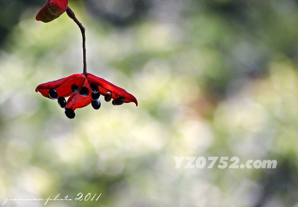 IMG_4154.jpg