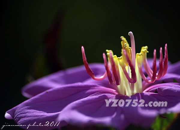 IMG_4147.jpg