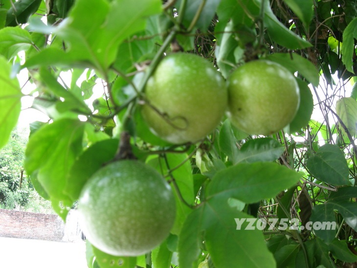 IMG_5614_С.jpg
