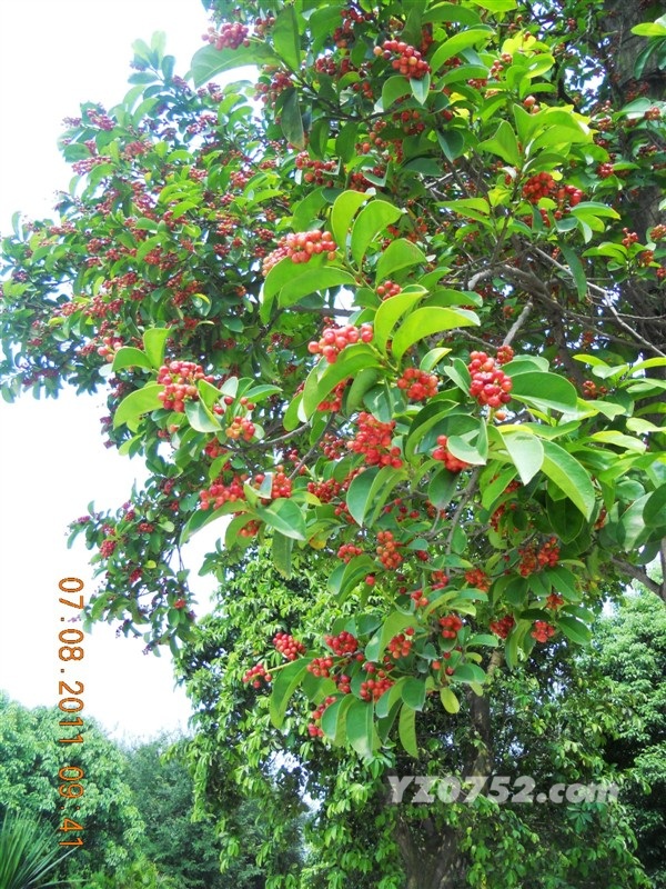 http_imgloadCA19PAUG.jpg