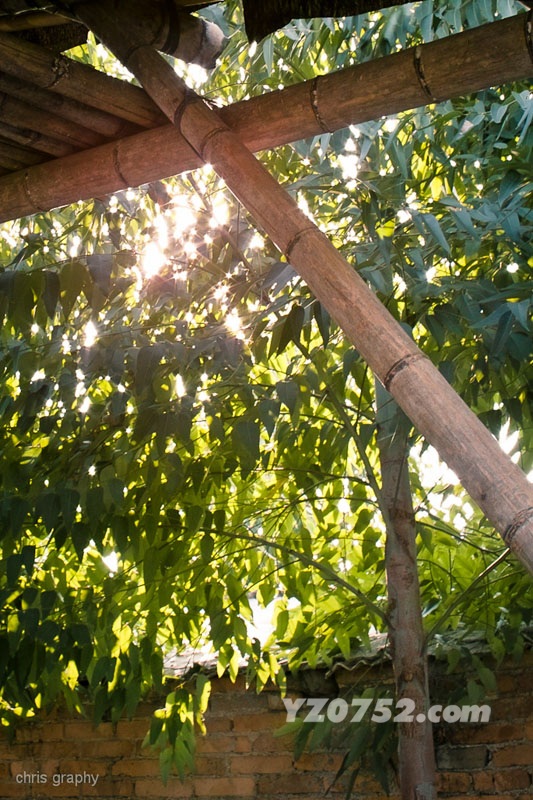 SDIM0136.jpg