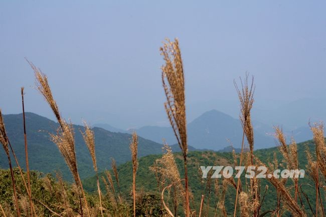 _MG_6550.jpg
