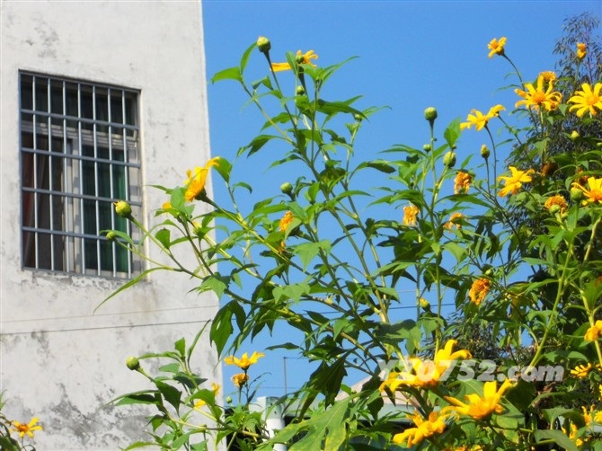 psbCA1IFCL7.jpg