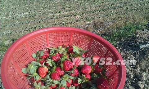 image_11.jpg