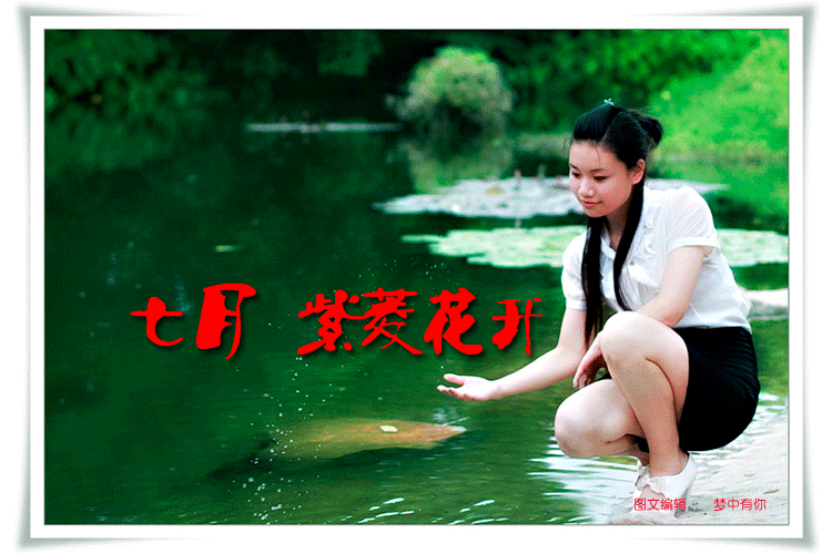 ޱ-20.gif
