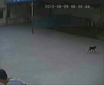 eyePicture_20120929080559.jpeg