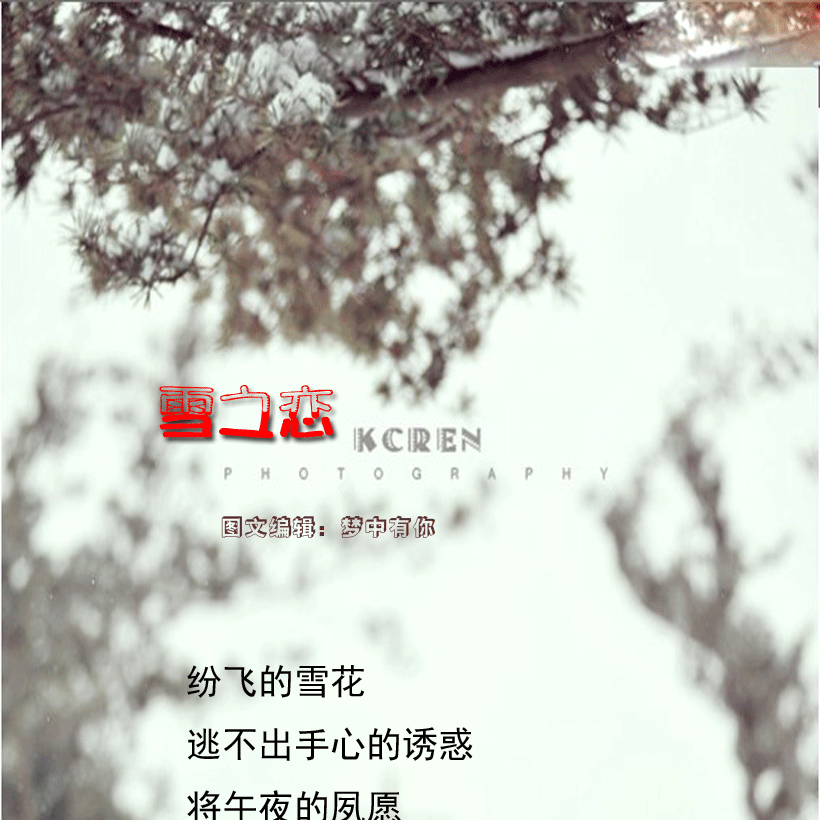 δ-11_01.gif