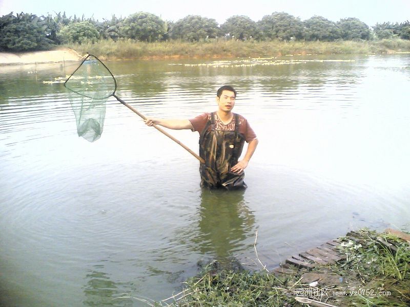 suls4Nh2.jpg