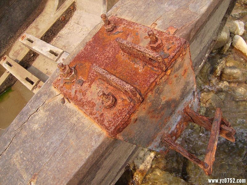 RIMG0753.JPG