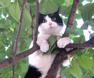 1000797146.gif