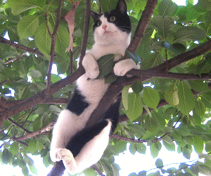 1000797143.gif