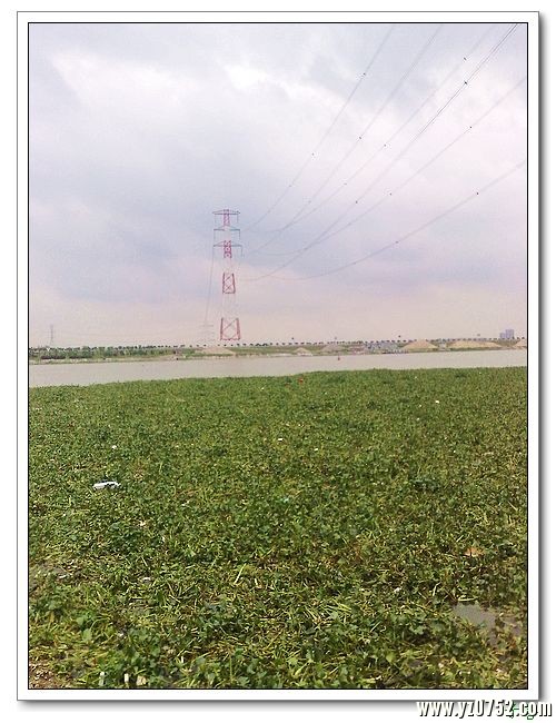 201006141297۵Ľ.jpg