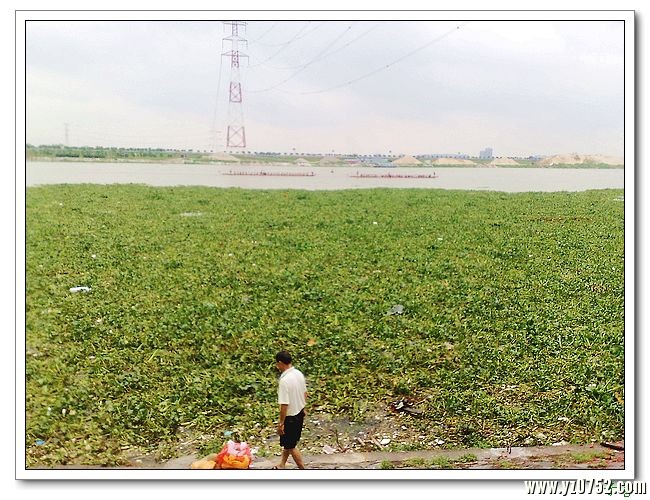 201006141294ˮ.jpg