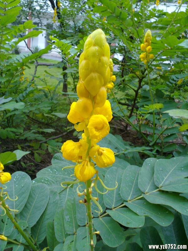 20100627703.jpg