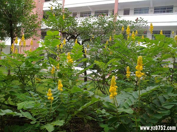 20100627702.jpg
