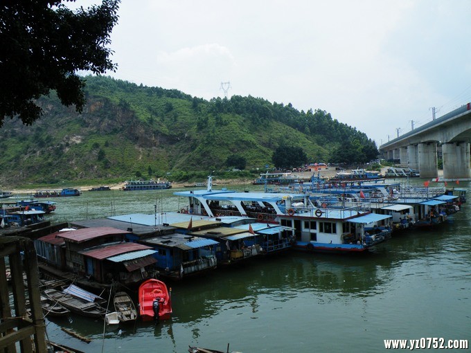 DSCF8445.jpg