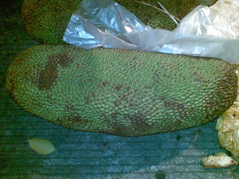 20100830(036)_С.jpg