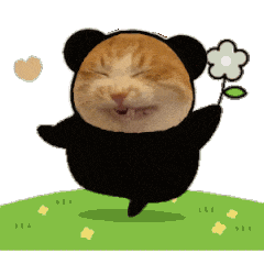 0.gif