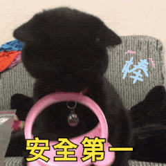 0.gif