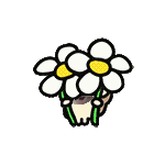 0.gif